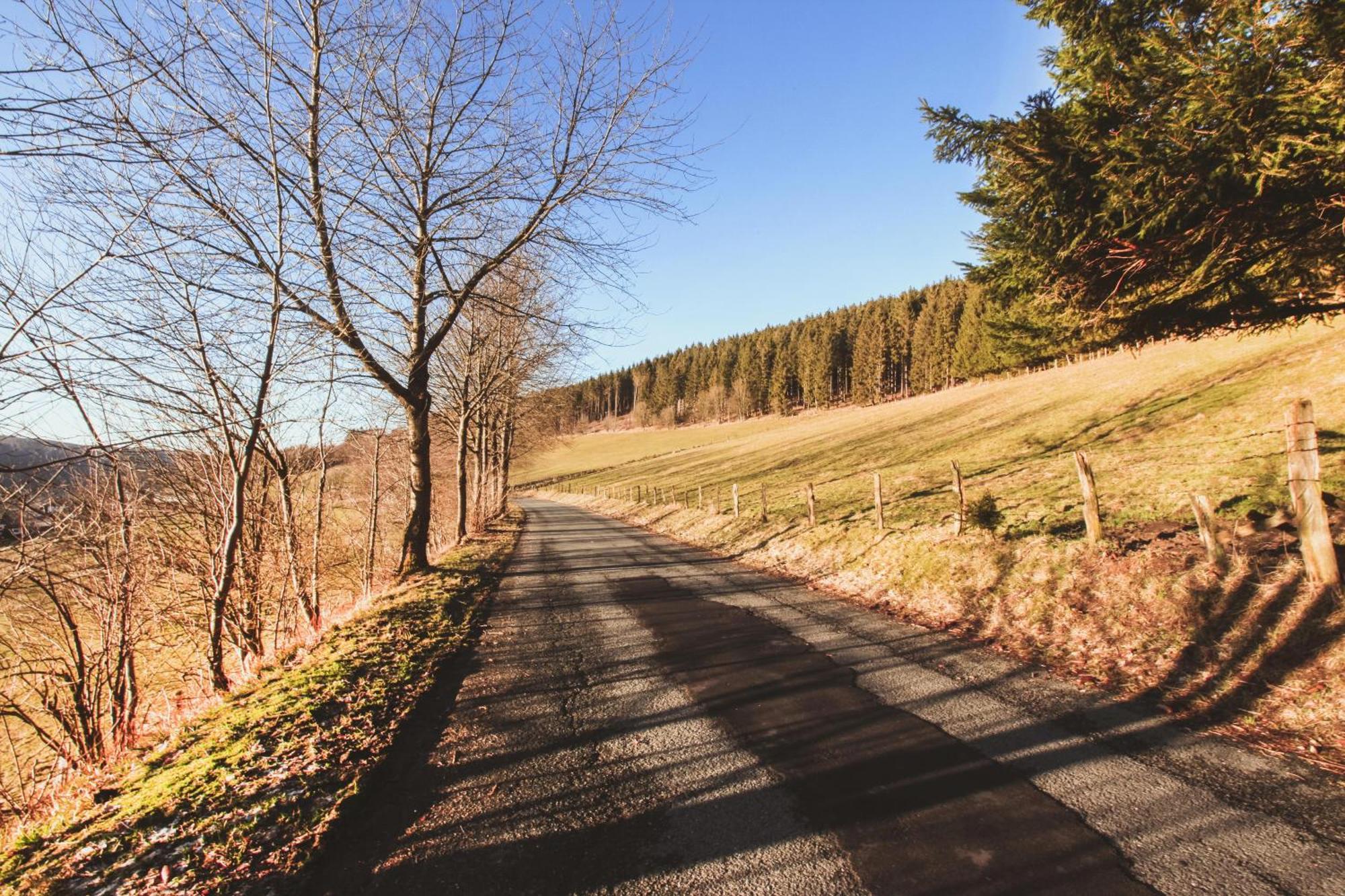 Fewo Clemensberg Niedersfeld Lägenhet Winterberg Exteriör bild