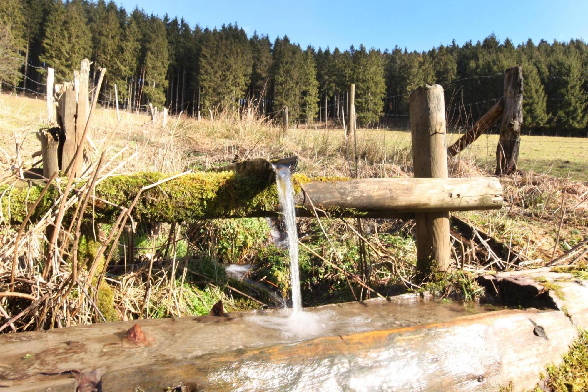 Fewo Clemensberg Niedersfeld Lägenhet Winterberg Exteriör bild